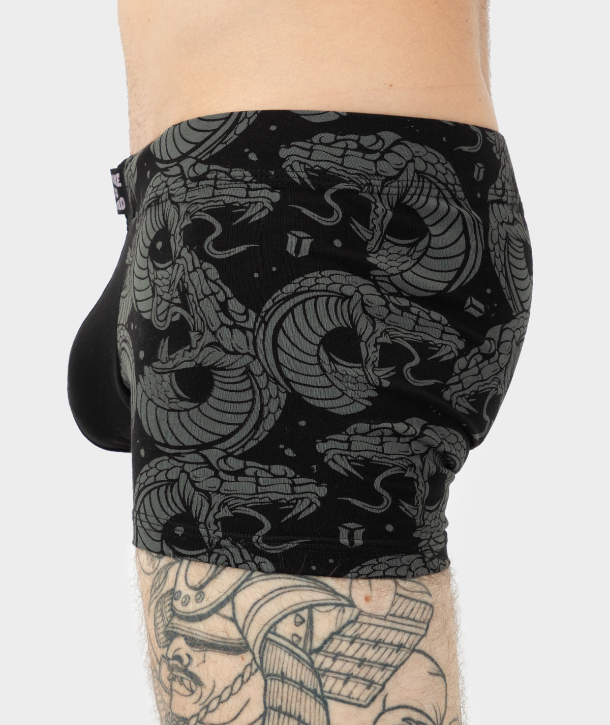 Snakes - Boxer - Image 3