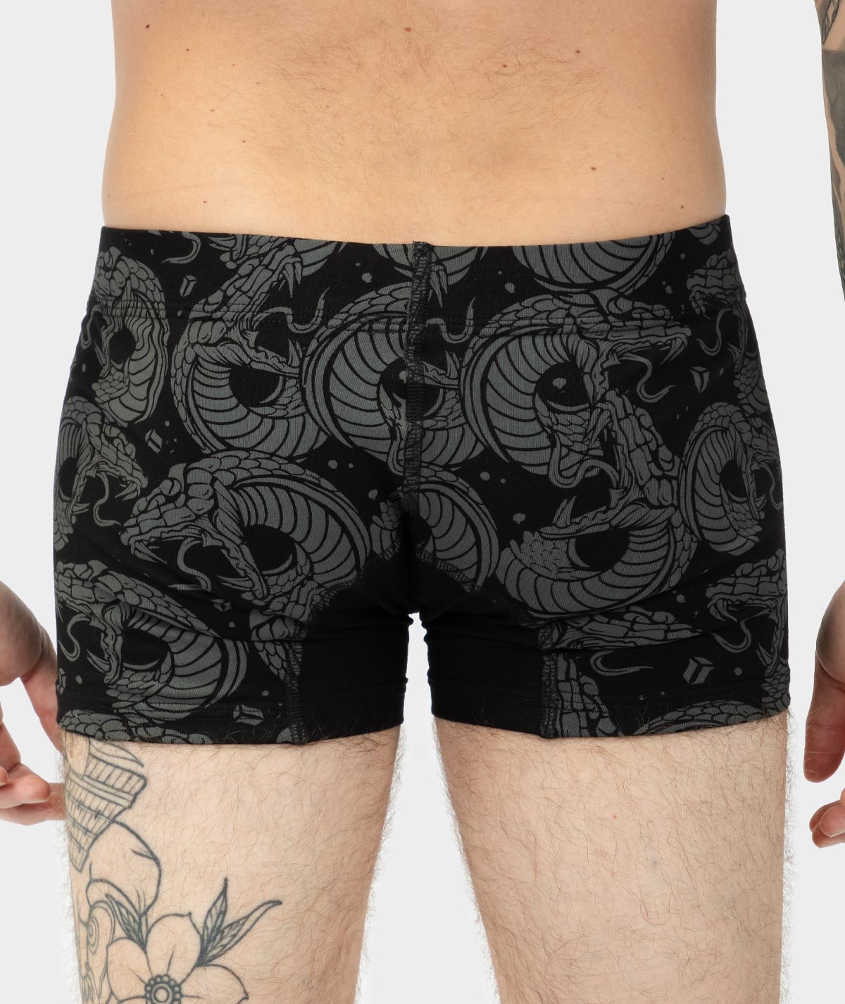 Snakes - Boxer - Image 4