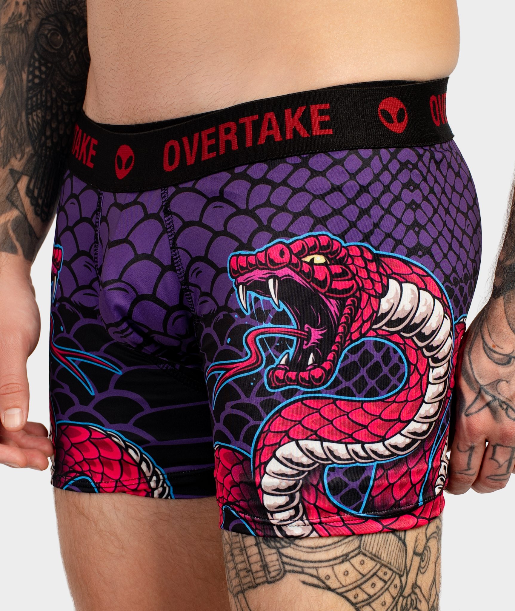 Wilde Snake - Boxer - Image 2