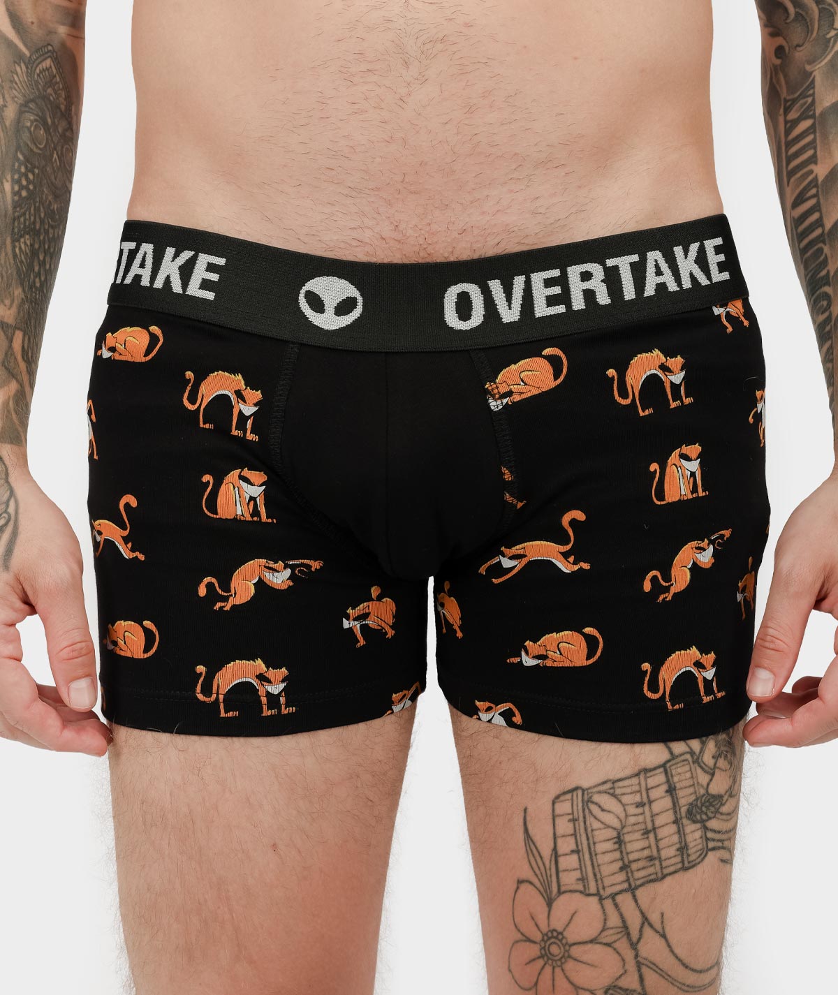 Kushky - Boxer 2 | Overtake Kushky - Boxer - Image 2