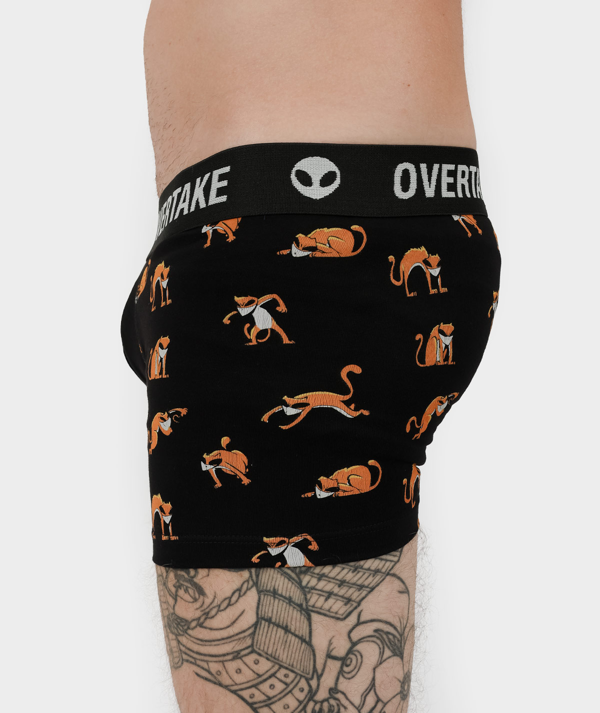 Kushky - Boxer 3 | Overtake Kushky - Boxer - Image 3