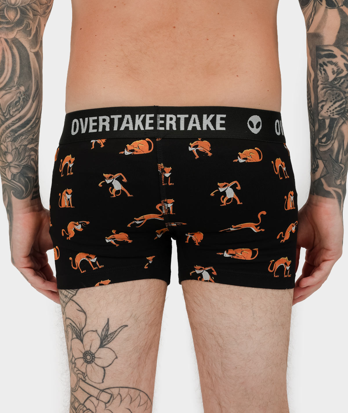 Kushky - Boxer 4 | Overtake Kushky - Boxer - Image 4